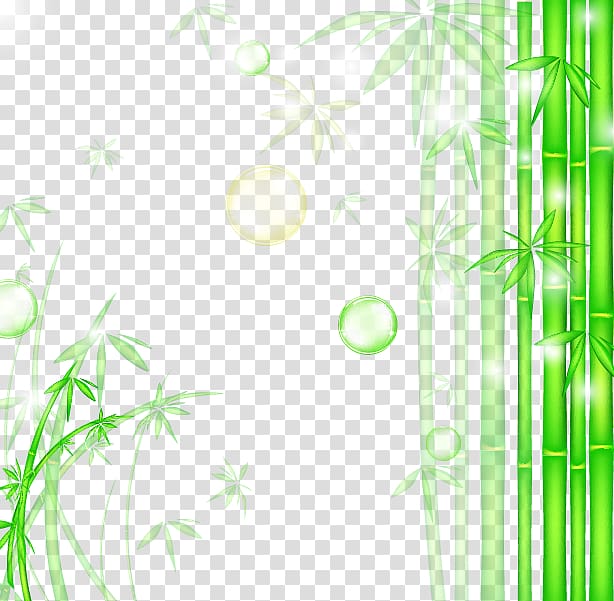 Bamboo Graphic design , Fresh green bamboo background transparent background PNG clipart