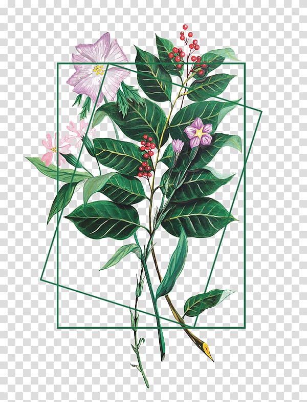 Flower Plant Illustration, Fashion Bouquet transparent background PNG clipart