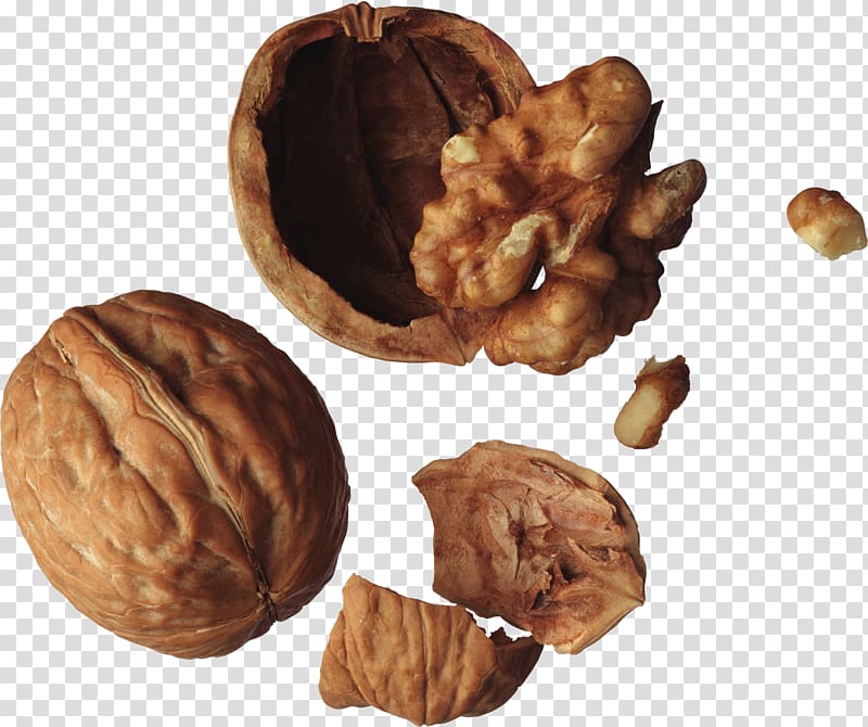Nucule English walnut Peanut, Walnut transparent background PNG clipart