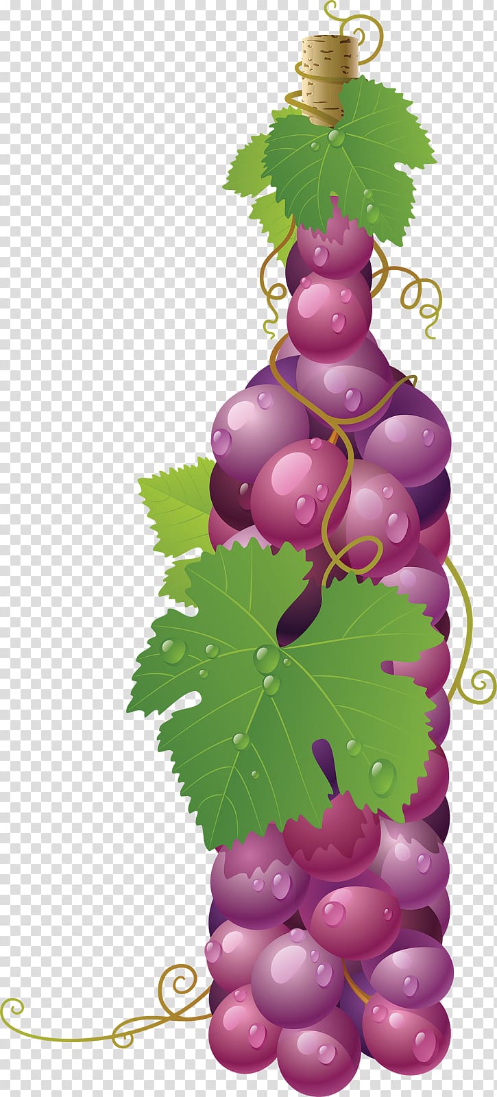 Common Grape Vine Wine Grape leaves, wine transparent background PNG clipart