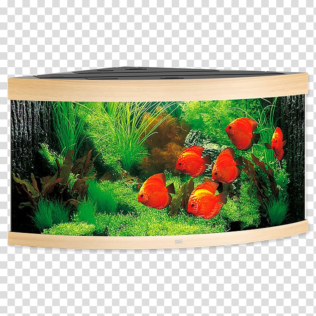 Tropical Aquariums Trigon Heater Sump, trigon transparent background PNG clipart