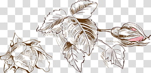 Watercolor painting Drawing Euclidean Computer file, Fresh watercolor painted floral decoration transparent background PNG clipart thumbnail