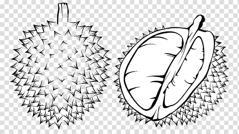 jackfruit illustration, Coloring book Durian Black and white Child , Durian transparent background PNG clipart