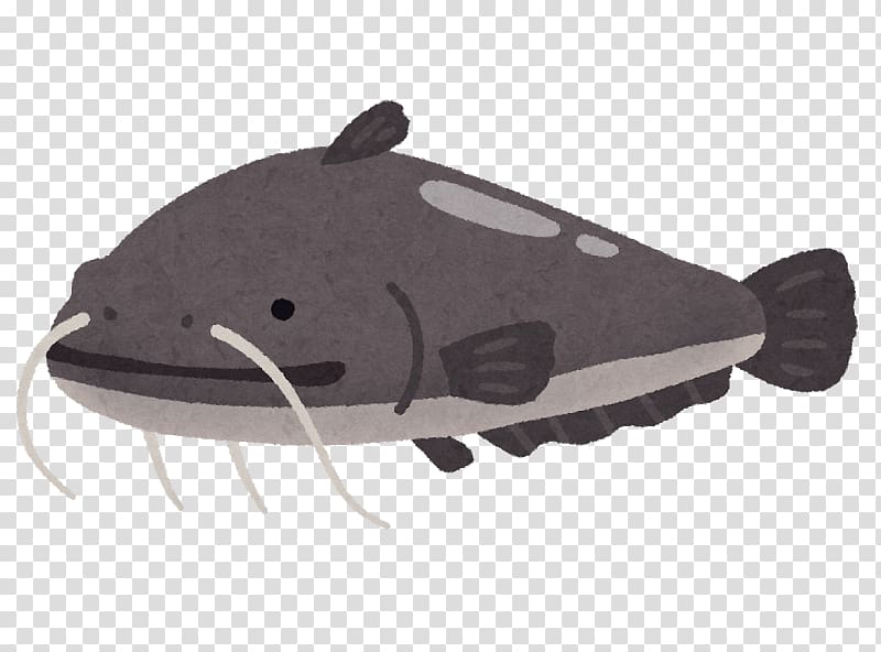 Amur catfish Facial hair いらすとや, fish transparent background PNG clipart