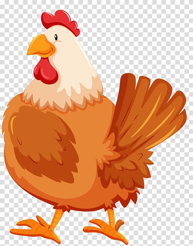 brown and white hen illustration, Chicken, Cartoon hen transparent background PNG clipart