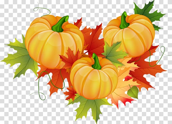 Pumpkin Cucurbita pepo Thanksgiving , Pumpkin harvest transparent background PNG clipart