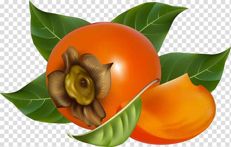 Japanese Persimmon Fruit, persimmon transparent background PNG clipart