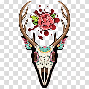 White-tailed deer Skull Illustration, Beautiful claw transparent background PNG clipart thumbnail