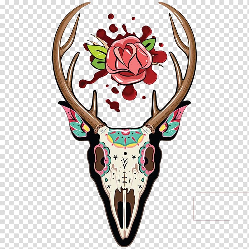 White-tailed deer Skull Illustration, Beautiful claw transparent background PNG clipart