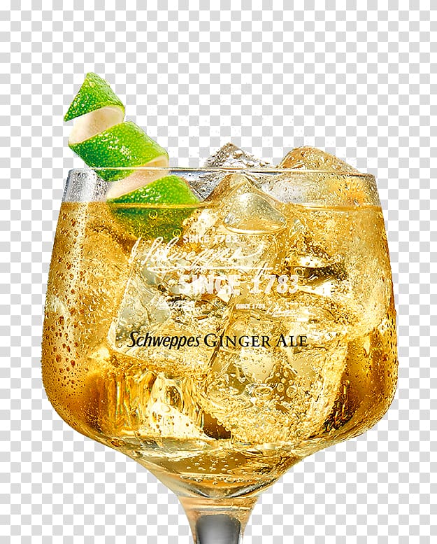 Cocktail garnish Ginger ale Gin and tonic Vodka, whiskey ginger transparent background PNG clipart