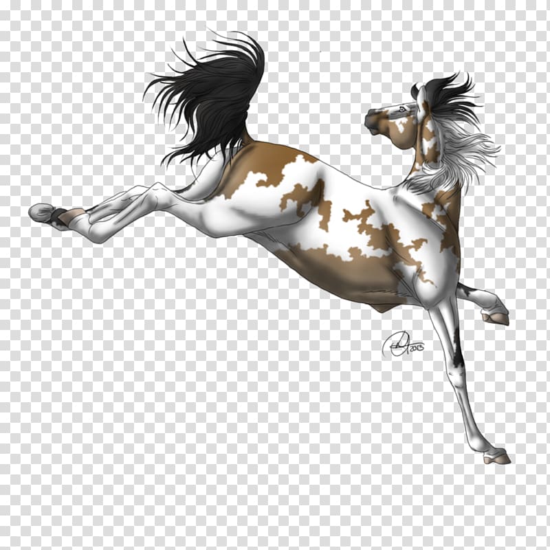 Mustang Stallion Halter Freikörperkultur, Dark Moon transparent background PNG clipart