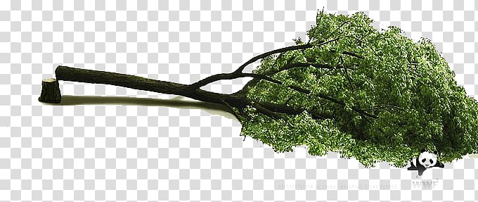 fallen tree clipart