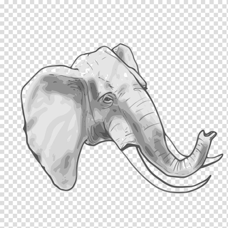 Elephant , Circus Animal transparent background PNG clipart