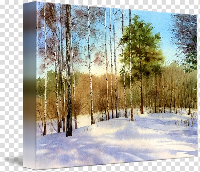 Birch Painting Biome State park Wood, winter forest transparent background PNG clipart