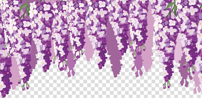 wisteria flower decoration transparent background PNG clipart
