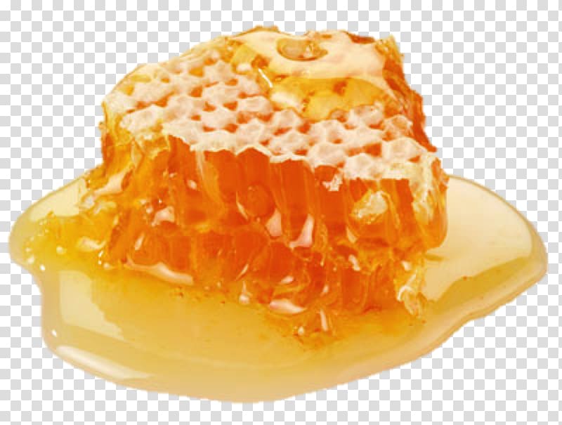 Honey bee Honey bee Nectar, honey transparent background PNG clipart