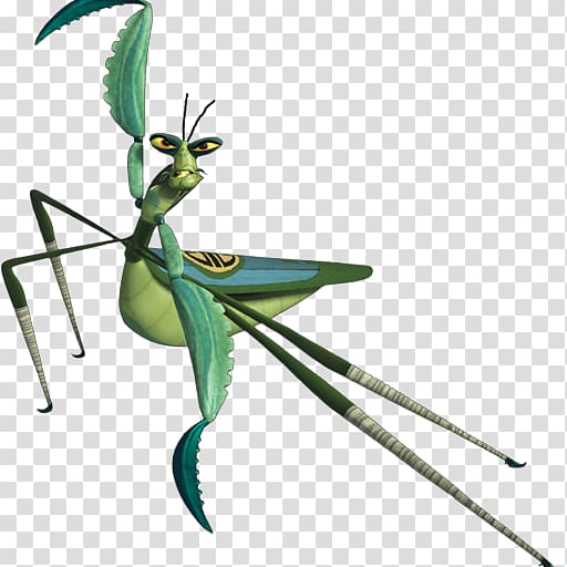 Mantis Po Master Shifu Oogway Tigress, Stick Mantis transparent background PNG clipart