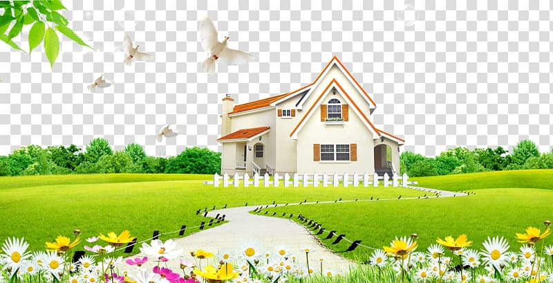Lawn High-definition television, Green grass house Peace dove transparent background PNG clipart