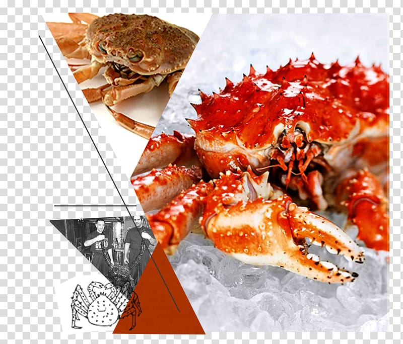 Red king crab Dungeness crab Lobster, Snow Crab transparent background PNG clipart