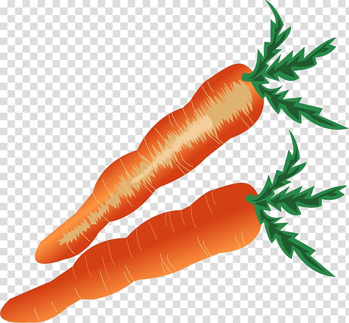 Baby carrot Vegetable, Cartoon carrot transparent background PNG clipart