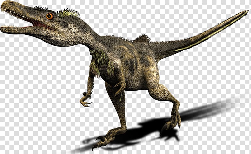 Dinosaur Deinonychus Late Cretaceous Velociraptor mongoliensis, Dinosaur transparent background PNG clipart