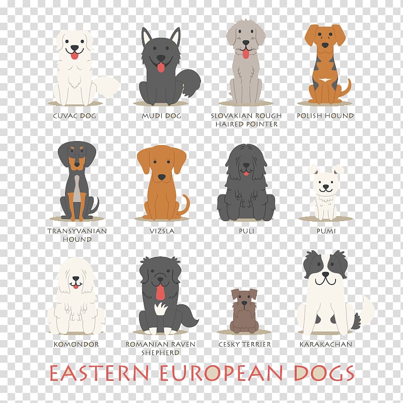 Polish Hound Basset Hound Dachshund Puppy Eastern Europe, 12 Eastern European cartoon dog design material transparent background PNG clipart