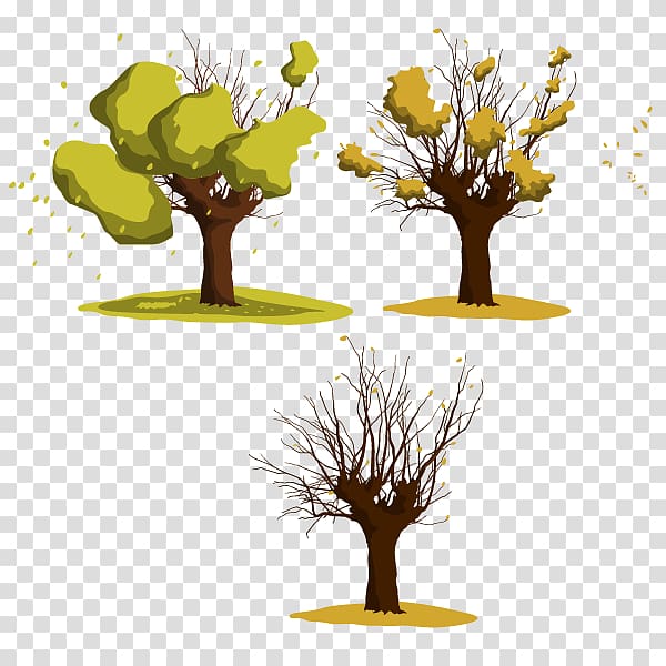 Wattles Tree Euclidean , onset of winter the leaves fall in the process transparent background PNG clipart