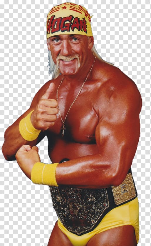 Hulk Hogan WCW World Heavyweight Championship World Championship Wrestling Professional Wrestler Professional wrestling, hulk hogan transparent background PNG clipart