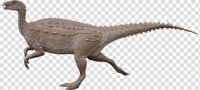 Velociraptor Moab Giants Scelidosaurus Nothronychus, dinosaur transparent background PNG clipart