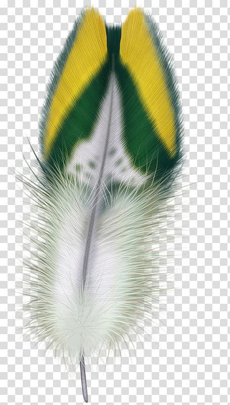 Feather Bird Digital , Plumas transparent background PNG clipart