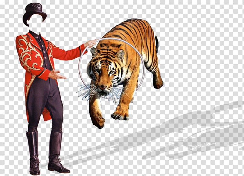 The Tiger .de Pattern, Circus transparent background PNG clipart