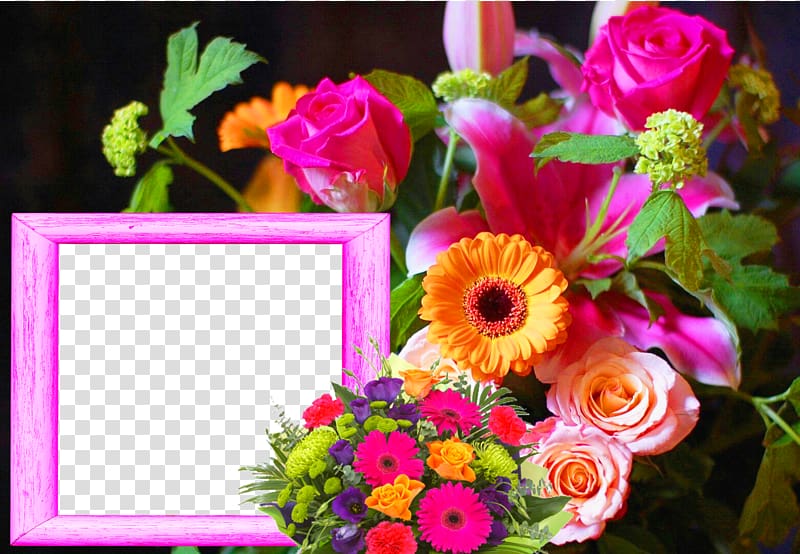 High-definition television Flower High-definition video 4K resolution , Hq transparent background PNG clipart