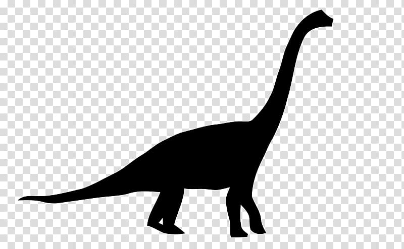 Brachiosaurus Apatosaurus Diplodocus Brontosaurus Dinosaur size, brachiosaurus transparent background PNG clipart