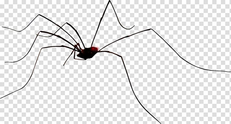 Line Insect Point Angle Wing, Creative Halloween spider transparent background PNG clipart