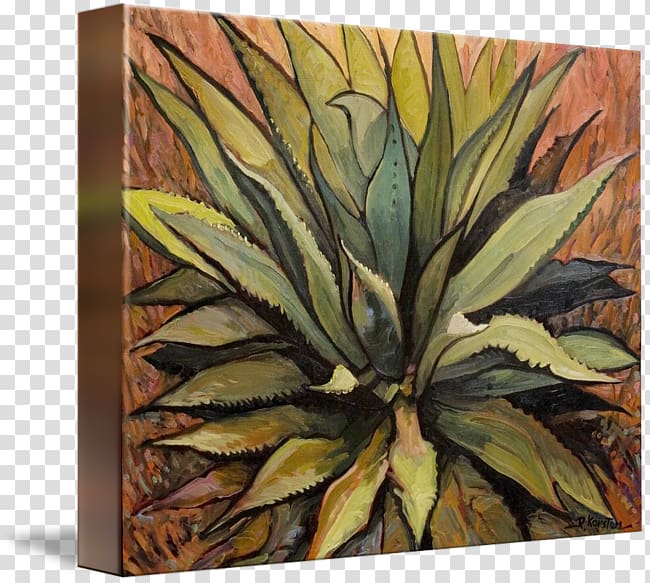 Agave azul Agave deserti Modern art Gallery wrap Pineapple, pineapple transparent background PNG clipart
