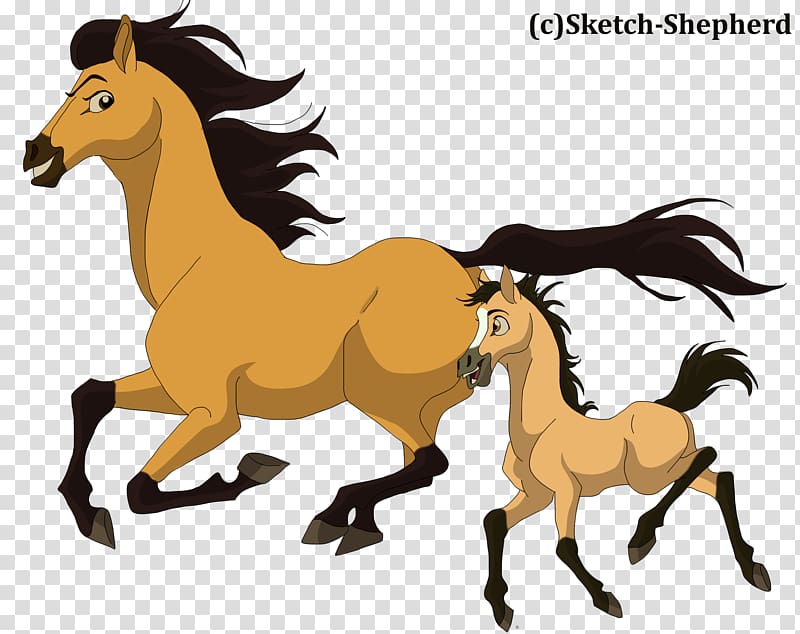 Mustang Foal Stallion Colt Mare, mustang transparent background PNG clipart