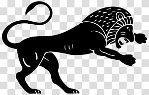 Lion T-shirt , lion transparent background PNG clipart thumbnail