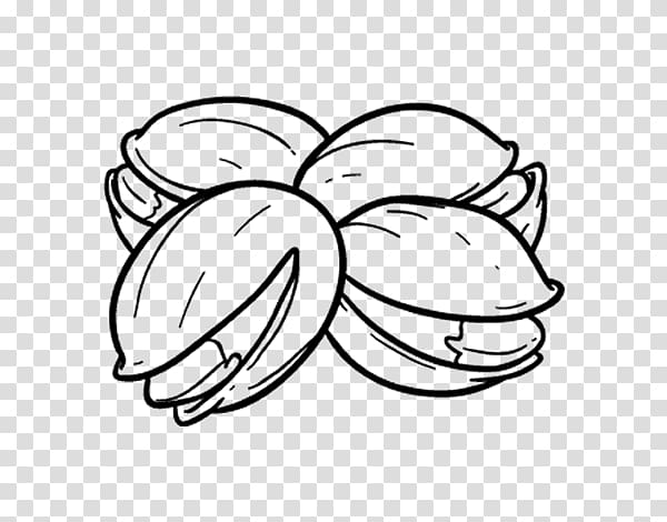 Nuts Drawing Line art Auglis , painting transparent background PNG clipart