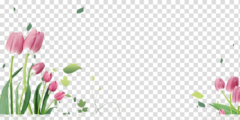 pink petaled flowers , Tulip Flower .xchng Eid al-Fitr , Tulips flying material transparent background PNG clipart