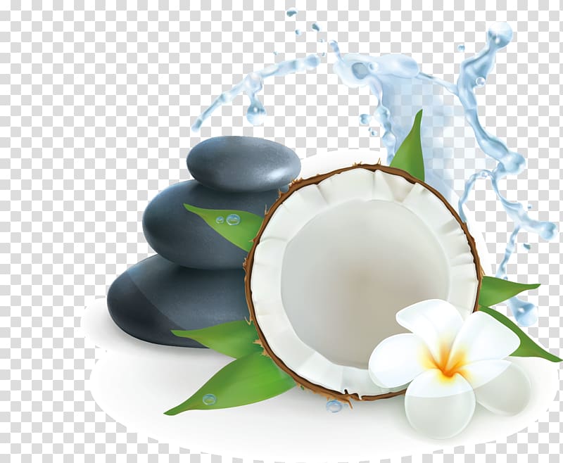 coconut illustration, Coconut water Illustration, SPA leisure club creative transparent background PNG clipart