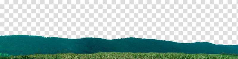Biome Grassland Ecoregion Desktop Crop, corn field transparent background PNG clipart