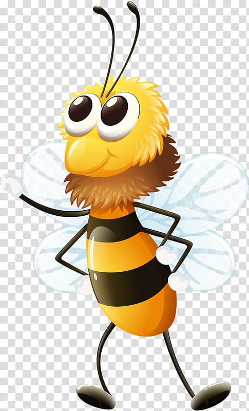 Bee Insect , bee transparent background PNG clipart