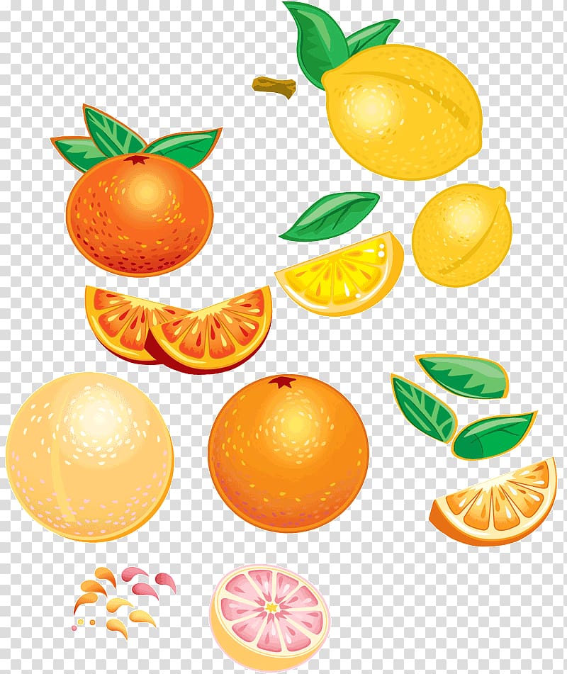 Mandarin orange Vegetarian cuisine Tangerine Food, fruit splash transparent background PNG clipart