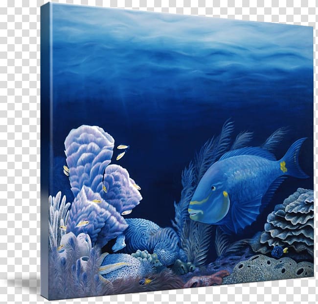 Marine biology Lighthouse Reef Coral reef fish, others transparent background PNG clipart