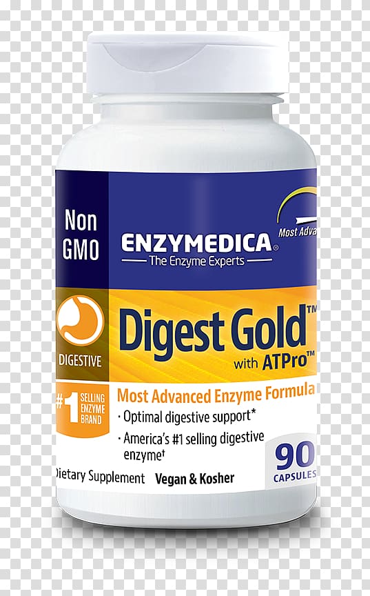 Dietary supplement Digestion Digestive enzyme Food, others transparent background PNG clipart