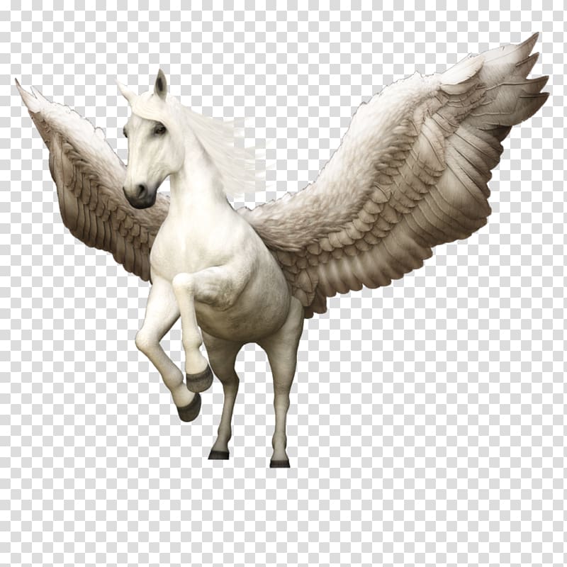 Horse Pegasus Greece Cavalo-alado Winged unicorn, horse transparent background PNG clipart