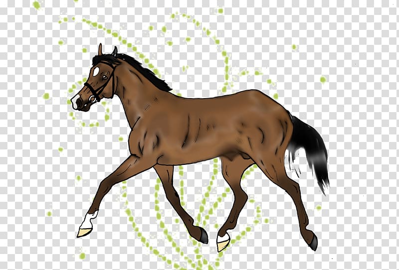 Mustang Hanoverian horse Colt Foal Stallion, mustang transparent background PNG clipart