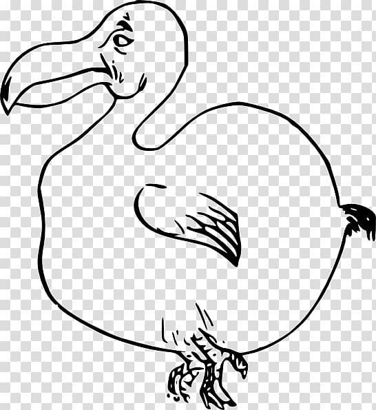 Dodo Bird , hand-drawn cartoon baby elephant transparent background PNG clipart