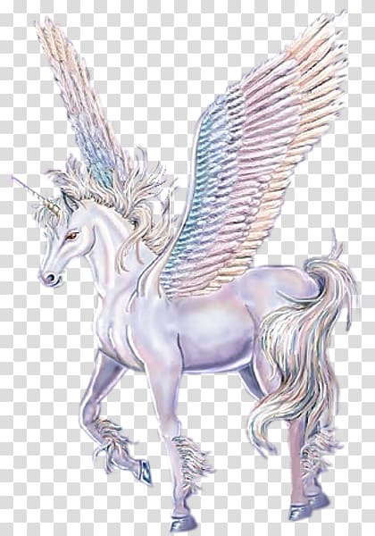 Horse Winged unicorn Legendary creature Pegasus, horse transparent background PNG clipart