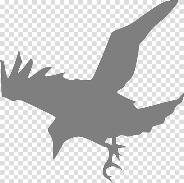 Common raven Bird Silhouette , Raven Outline transparent background PNG clipart